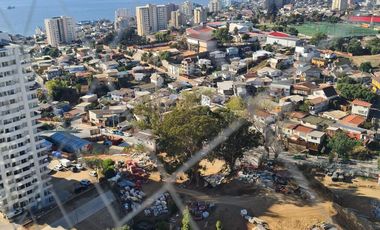 CARACOLAS – RECREO