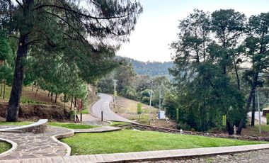 Terreno en venta en El Tigre Residencial, Valle de Juárez, Bosque de Mazamitla