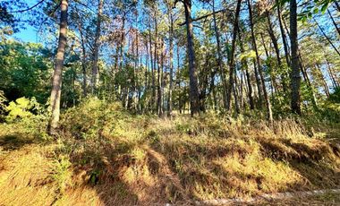 Terreno en venta en El Tigre Residencial, Valle de Juárez, Bosque de Mazamitla