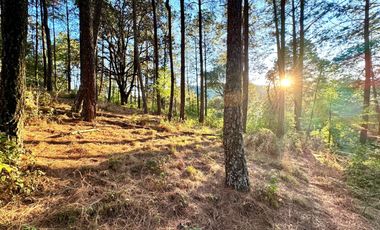 Terreno en venta en El Tigre Residencial, Valle de Juárez, Bosque de Mazamitla