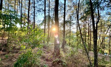 Terreno en venta en El Tigre Residencial, Valle de Juárez, Bosque de Mazamitla