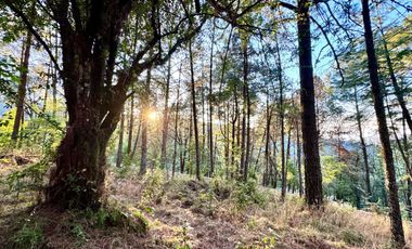Terreno en venta en El Tigre Residencial, Valle de Juárez, Bosque de Mazamitla