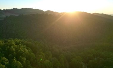 Terreno en venta en El Tigre Residencial, Valle de Juárez, Bosque de Mazamitla