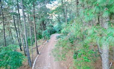 Terreno en venta en El Tigre Residencial, Valle de Juárez, Bosque de Mazamitla