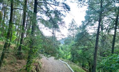 Terreno en venta en El Tigre Residencial, Valle de Juárez, Bosque de Mazamitla