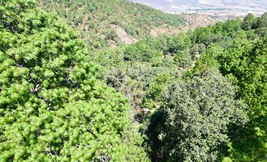 Terreno en venta en El Tigre Residencial, Valle de Juárez, Bosque de Mazamitla