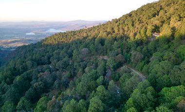 Terreno en venta en El Tigre Residencial, Valle de Juárez, Bosque de Mazamitla