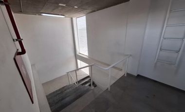 Departamento en RENTA en KOLORIA Centro Sur