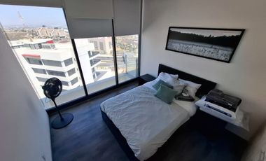 Departamento en RENTA en KOLORIA Centro Sur