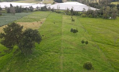 SE VENDE FINCA EN ARCABUCO SOBRE VIA PRINCIPAL