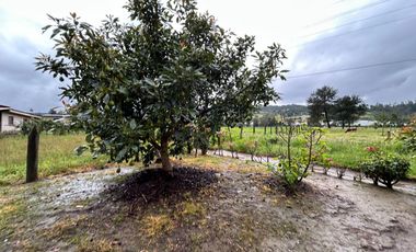 SE VENDE FINCA EN ARCABUCO SOBRE VIA PRINCIPAL
