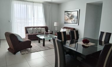 Departamento amueblado en renta en Torre Celsus