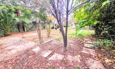 Gran Casa Sólida 4d/3b, 767 M2 Terreno, Metro Lo Vial