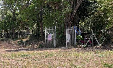 FARM LOT FOR SALE 7 HECTARES BESIDE THE FARM SAN BENITO LIPA BATANGAS CITY