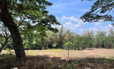 FARM LOT FOR SALE 7 HECTARES BESIDE THE FARM SAN BENITO LIPA BATANGAS CITY