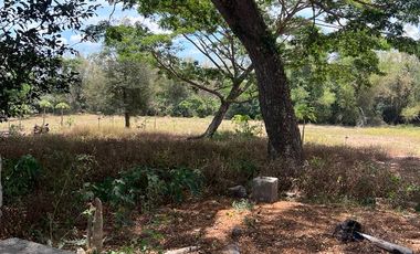 FARM LOT FOR SALE 7 HECTARES BESIDE THE FARM SAN BENITO LIPA BATANGAS CITY