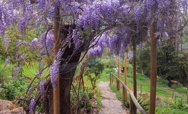 Parcela Con Casa Sólida Y Cabañas Con Airbnb Funcionando!