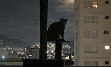 VENTA DEPARTAMENTO EN RESERVA DEL ROBLE, TLALNEPANTLA DE BAZ