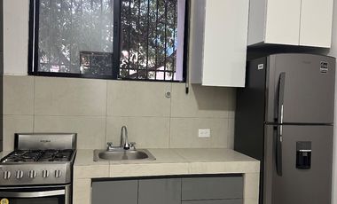DEPARTAMENTO EN RENTA, CENTRO