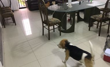 Vendo departamento  en Surco de 03  dormitorios