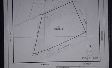 TERRENO EN VENTA EN PEDERNALES SECTOR COMERCIAL CON VISTA AL MAR