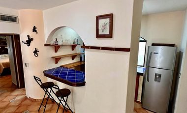 Penthouse Estilo Colonial Mexicano en el Corazón de Playa del Carmen Ubicación privilegiada, encanto tradicional y potencial de inversión