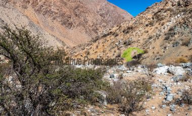 Venta terreno de 1 hectárea en el mágico Cochiguaz, Valle del Elqui. $75 millones