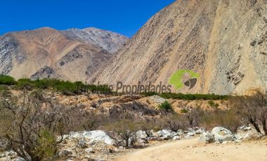 Venta terreno de 1 hectárea en el mágico Cochiguaz, Valle del Elqui. $75 millones