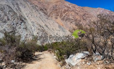 Venta terreno de 1 hectárea en el mágico Cochiguaz, Valle del Elqui. $75 millones