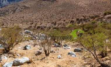 Venta terreno de 1 hectárea en el mágico Cochiguaz, Valle del Elqui. $75 millones