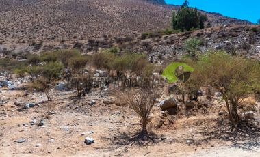 Venta terreno de 1 hectárea en el mágico Cochiguaz, Valle del Elqui. $75 millones