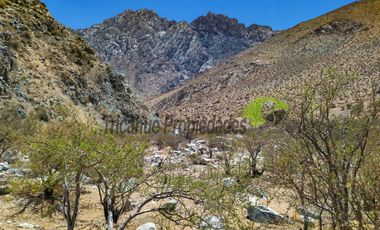 Venta terreno de 1 hectárea en el mágico Cochiguaz, Valle del Elqui. $75 millones