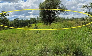 SE VENDE FINCA 53,20 HECTÁREAS, EL BRAVO – VALLE HERMOSO – SANTO DOMINGO - ECUADOR
