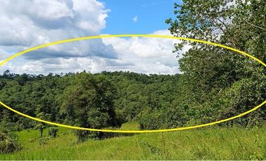 SE VENDE FINCA 53,20 HECTÁREAS, EL BRAVO – VALLE HERMOSO – SANTO DOMINGO - ECUADOR