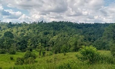 SE VENDE FINCA 53,20 HECTÁREAS, EL BRAVO – VALLE HERMOSO – SANTO DOMINGO - ECUADOR