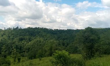 SE VENDE FINCA 53,20 HECTÁREAS, EL BRAVO – VALLE HERMOSO – SANTO DOMINGO - ECUADOR