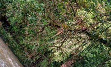 SE VENDE FINCA 53,20 HECTÁREAS, EL BRAVO – VALLE HERMOSO – SANTO DOMINGO - ECUADOR