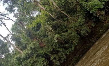 SE VENDE FINCA 53,20 HECTÁREAS, EL BRAVO – VALLE HERMOSO – SANTO DOMINGO - ECUADOR