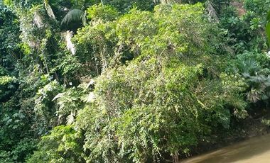 SE VENDE FINCA 53,20 HECTÁREAS, EL BRAVO – VALLE HERMOSO – SANTO DOMINGO - ECUADOR