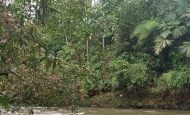 SE VENDE FINCA 53,20 HECTÁREAS, EL BRAVO – VALLE HERMOSO – SANTO DOMINGO - ECUADOR