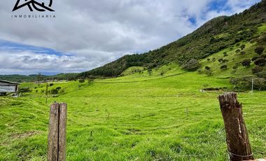 Finca ganadera en venta en Loja sector Carigán