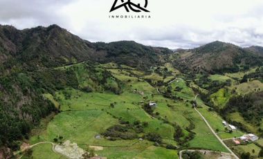 Finca ganadera en venta en Loja sector Carigán