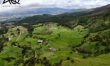 Finca ganadera en venta en Loja sector Carigán