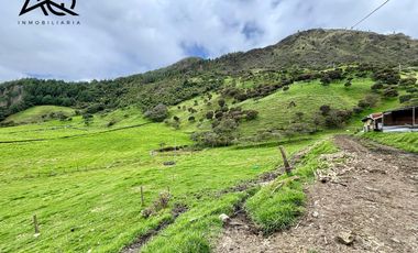 Finca ganadera en venta en Loja sector Carigán