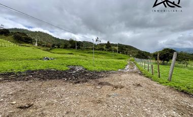 Finca ganadera en venta en Loja sector Carigán