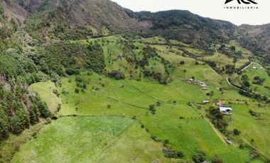 Finca ganadera en venta en Loja sector Carigán