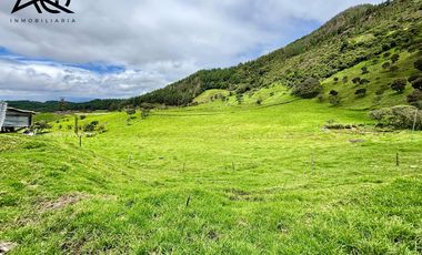 Finca ganadera en venta en Loja sector Carigán