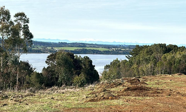 Venta de Terreno de 5,96ha en La Poza de Quenuir, Maullín