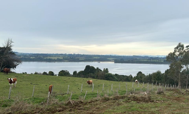 Venta de Terreno de 5,96ha en La Poza de Quenuir, Maullín