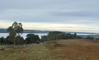 Venta de Terreno de 5,96ha en La Poza de Quenuir, Maullín